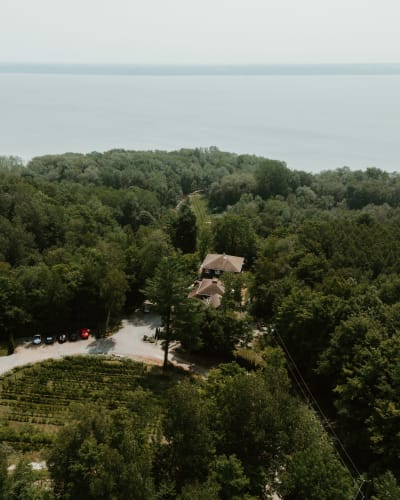 Vignoble le Domaine des 3 Moulins