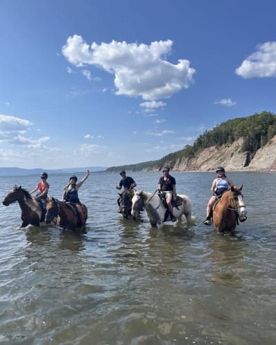 Horse riding Centaure - Forillon