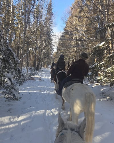 Horse riding Centaure - Forillon