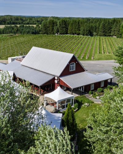 Domaine Gélinas Vineyard.