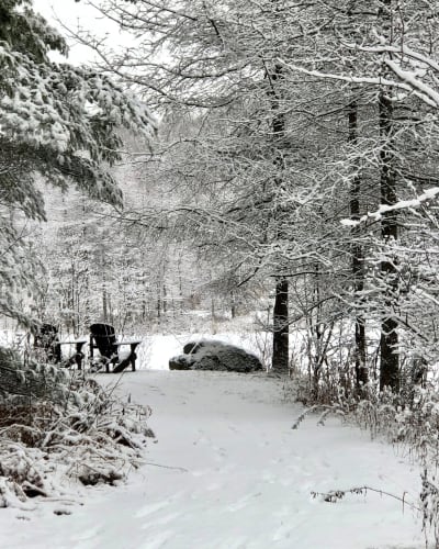 Offrez le Domaine Jolivent en cadeau. 