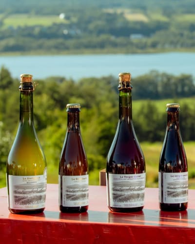 Cider selection from Domaine Steinbach - Cidrerie B&B, Distillerie, in the heart of Île d’Orléans.