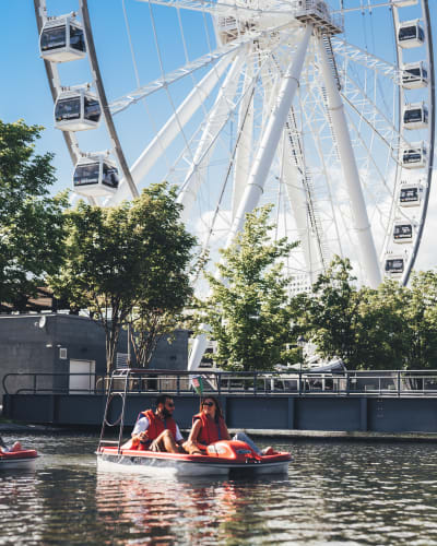 Pedal boat ride in the Old Port.