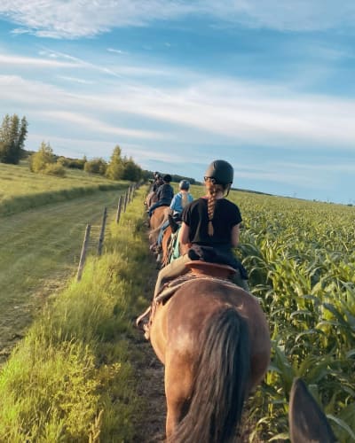 Horseback riding at Écuries 1101.