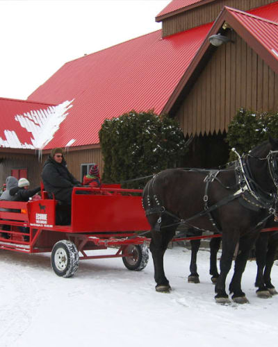 Carriage at the Érablière Au Toit Rouge.