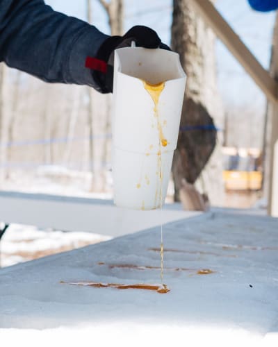 Tire d'érable sur neige à l'Érablière La Petite Coulée de St-Esprit.