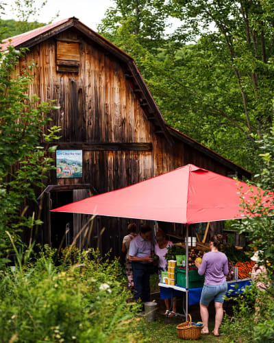 Farmers Markets