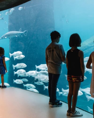 Biodôme – Espace pour la vie