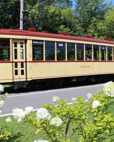 Streetcar Ride