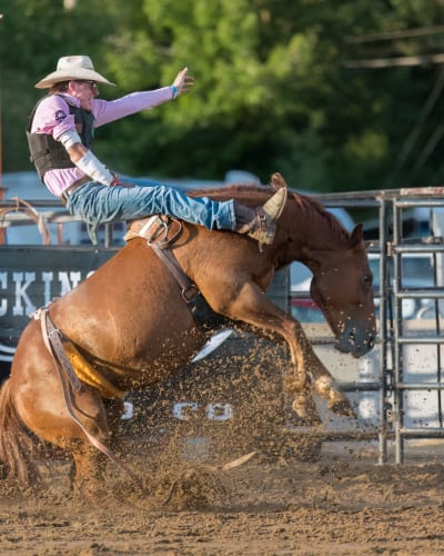 Exposition agricole de Trois-Rivières - Rodeo
