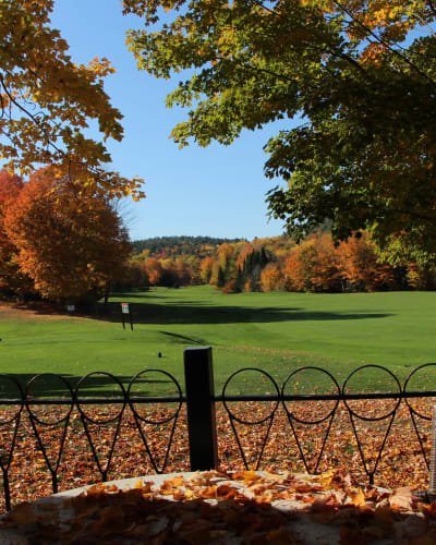 Autumn Harvest Package