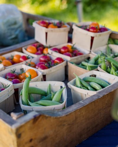 Ferme aux Petits Oignons.
