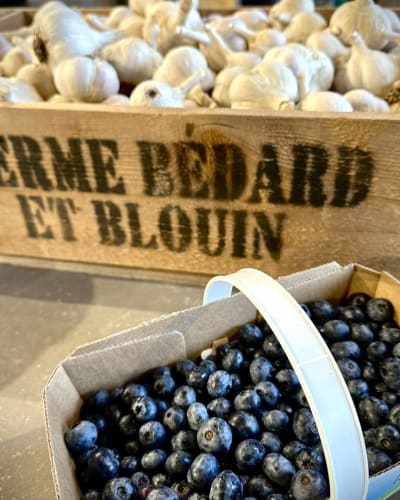 Garlic & blueberries, Ferme Bédard et Blouin.