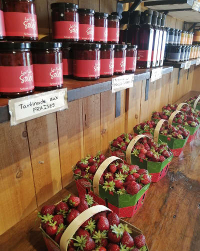 Fraises, Ferme Éthier.
