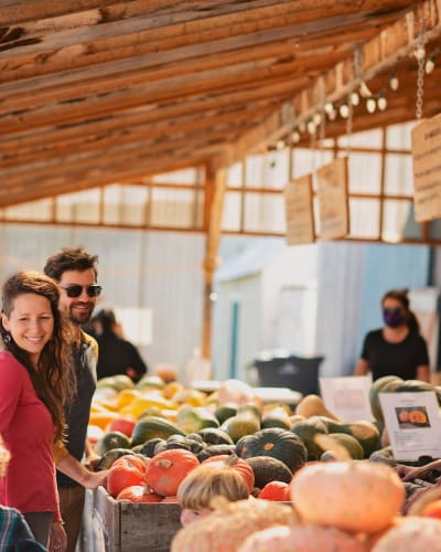 Kiosque de courges.