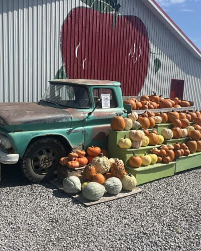 Citrouilles à la Ferme Laval Gagnon.