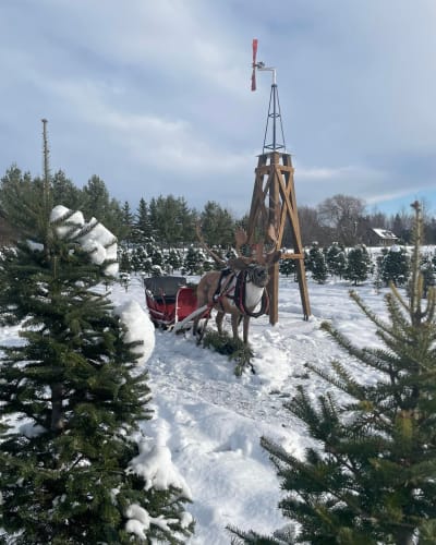 Ferme Noël d'Antan. 