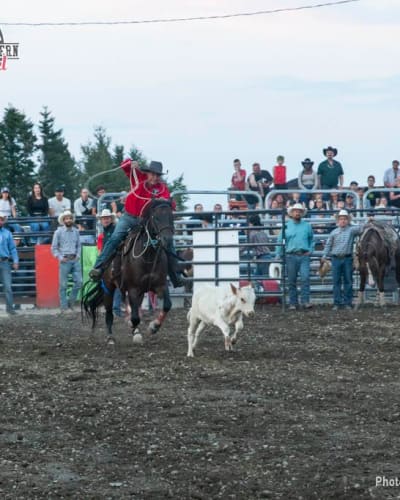 Rodeo.