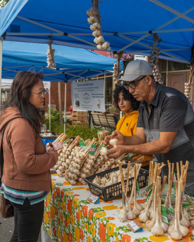 Festival de l’ail.