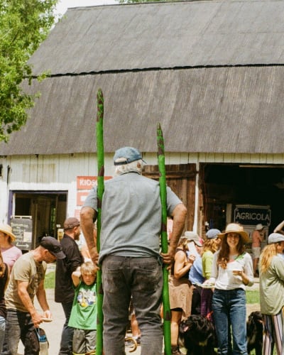 Festival de l'asperge