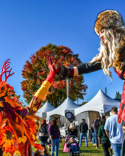 Festival des couleurs de Rigaud.