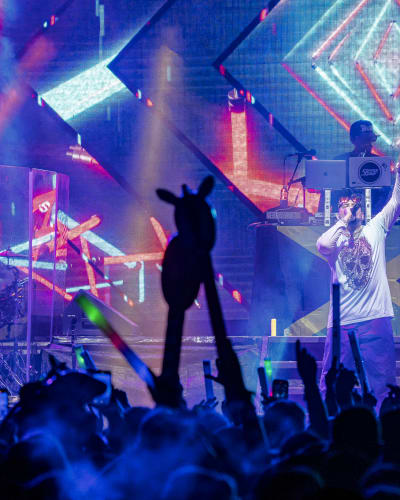 Riverside Festival - Artist on stage at an electro concert, with animated crowd and colored lights.