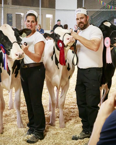 Foire agricole de Landrienne.