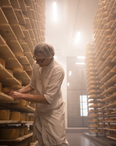 Cheesemonger with hundreds of cheeses on shelves.