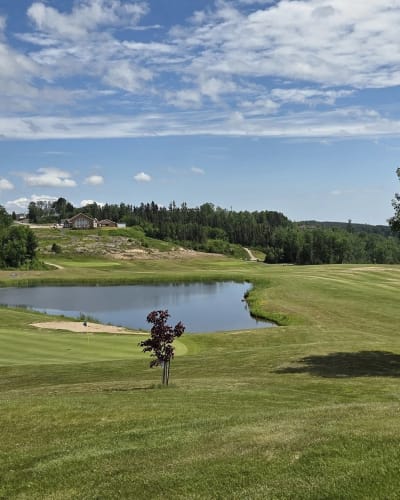 Terrain du Golf le Méandre.