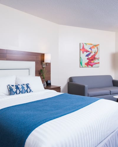 Bedroom with 1 bed and a sitting area.