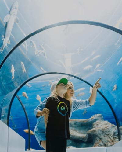 Forfait Aquarium du Québec