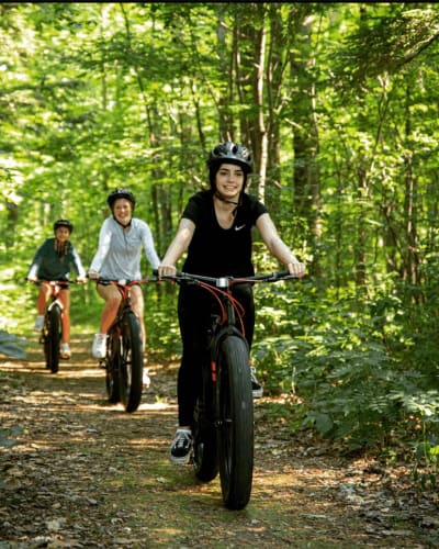 Vélo en forêt.