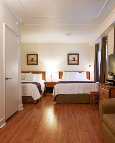 Hôtel St-Denis - Room with two beds
