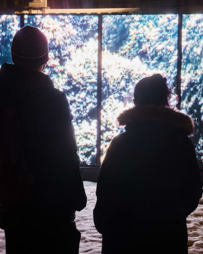 Art public - tableau vidéo de Mathieu Valade, au Jardin d'Hiver 2021.
