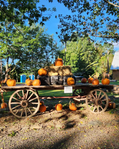 La brouette à légumes... citrouilles et sorcellerie.