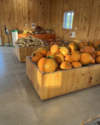 La Citrouille Enchantée.