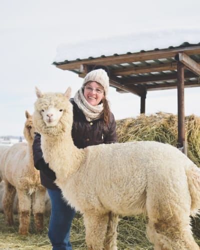 A woman with an alpaca in winter at La Ferme Chalpagas.
