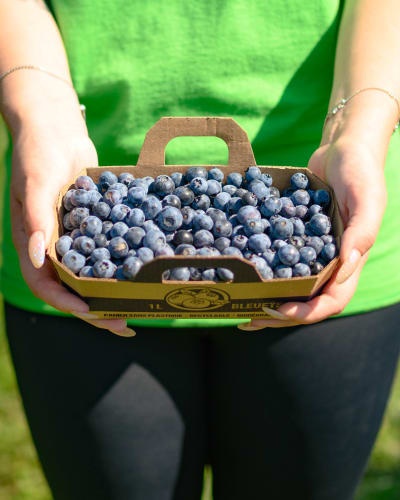 A person is holding a basket of blueberries at La Ferme Forget.