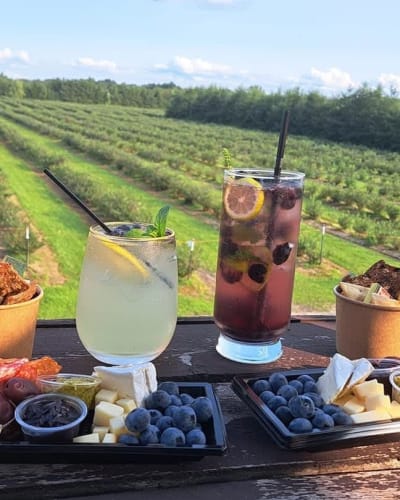 Cocktails and a charcuterie platter with a view of the fields.