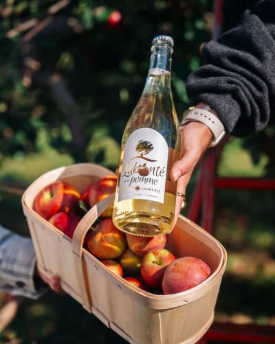 Basket of apples and bottle of cider.