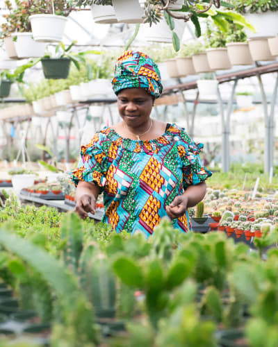 A woman in a greenhouse.
