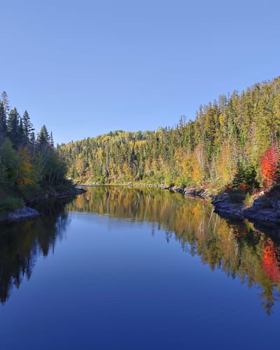 Parc le Trou de la Fée l'automne