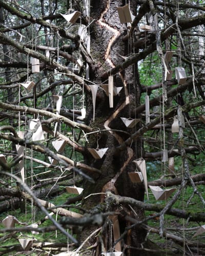 A Land Art installation created by André Ménard as part of the 2025 edition of Les Éphémères de Lac-Beauport.