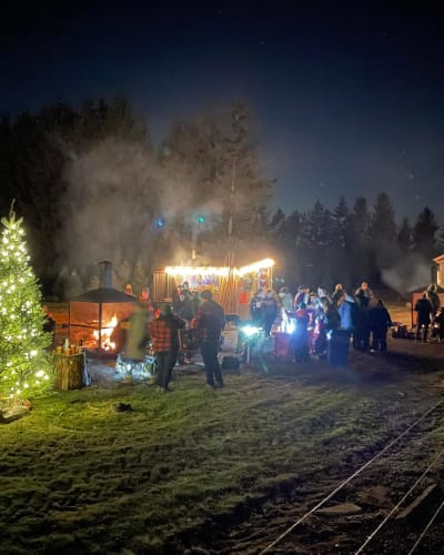 Christmas tree lit up at night with festive evening.