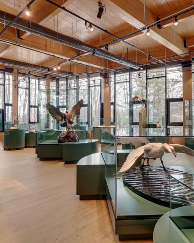 Exposition « Entre Ciel et Terre »