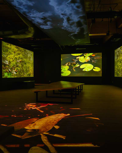 Bilingual exhibition "Momenti"