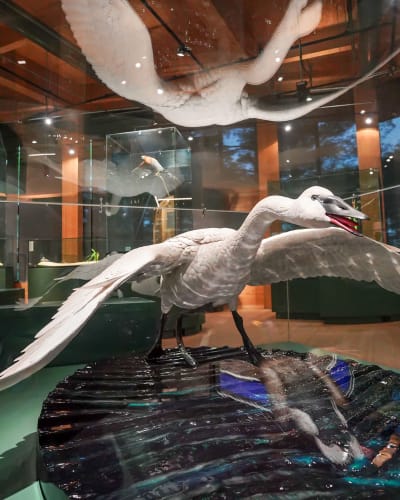 “Entre Ciel et Terre” Exhibition