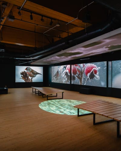 Exposition « Momenti – Découvrir le Marais autrement »