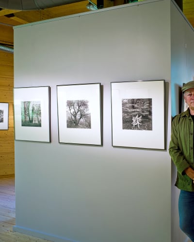 Exhibition “At the speed trees grow” 