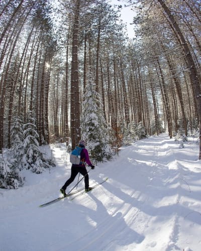 A participant in the Canadian Ski Marathon.